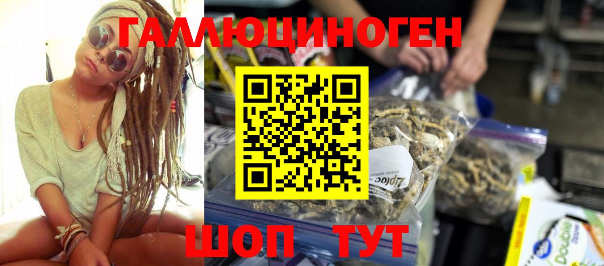 Галлюциногенные грибы Magic Shrooms  Галлюциногенные грибы Psilocybine cubensis  Белово  хочу   Вход с VPN 